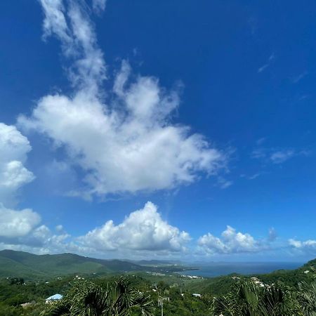 Villa Les Alizes Morne Blanc エクステリア 写真