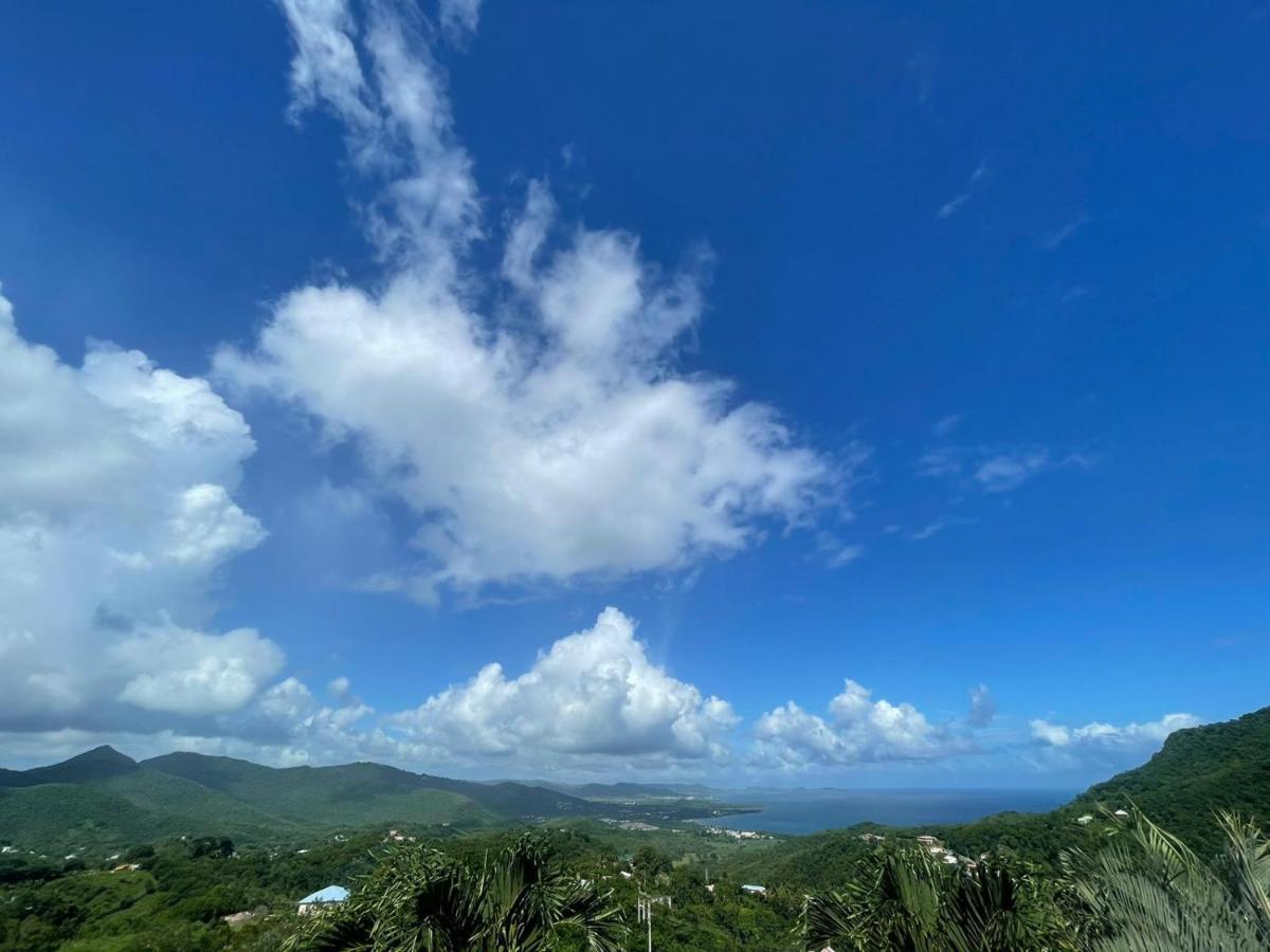 Villa Les Alizes Morne Blanc エクステリア 写真